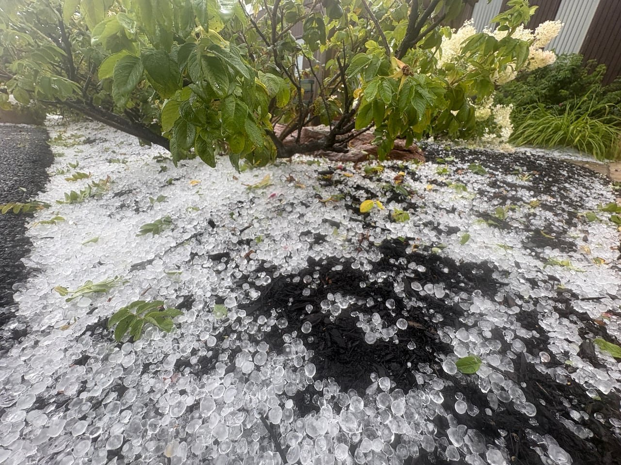 default-365 Hail, rain and wind pounded the province Wednesday afternoon.